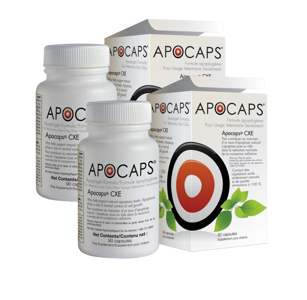 Apocaps CXE International Apoptogen Formula for Dogs (90 capsules)