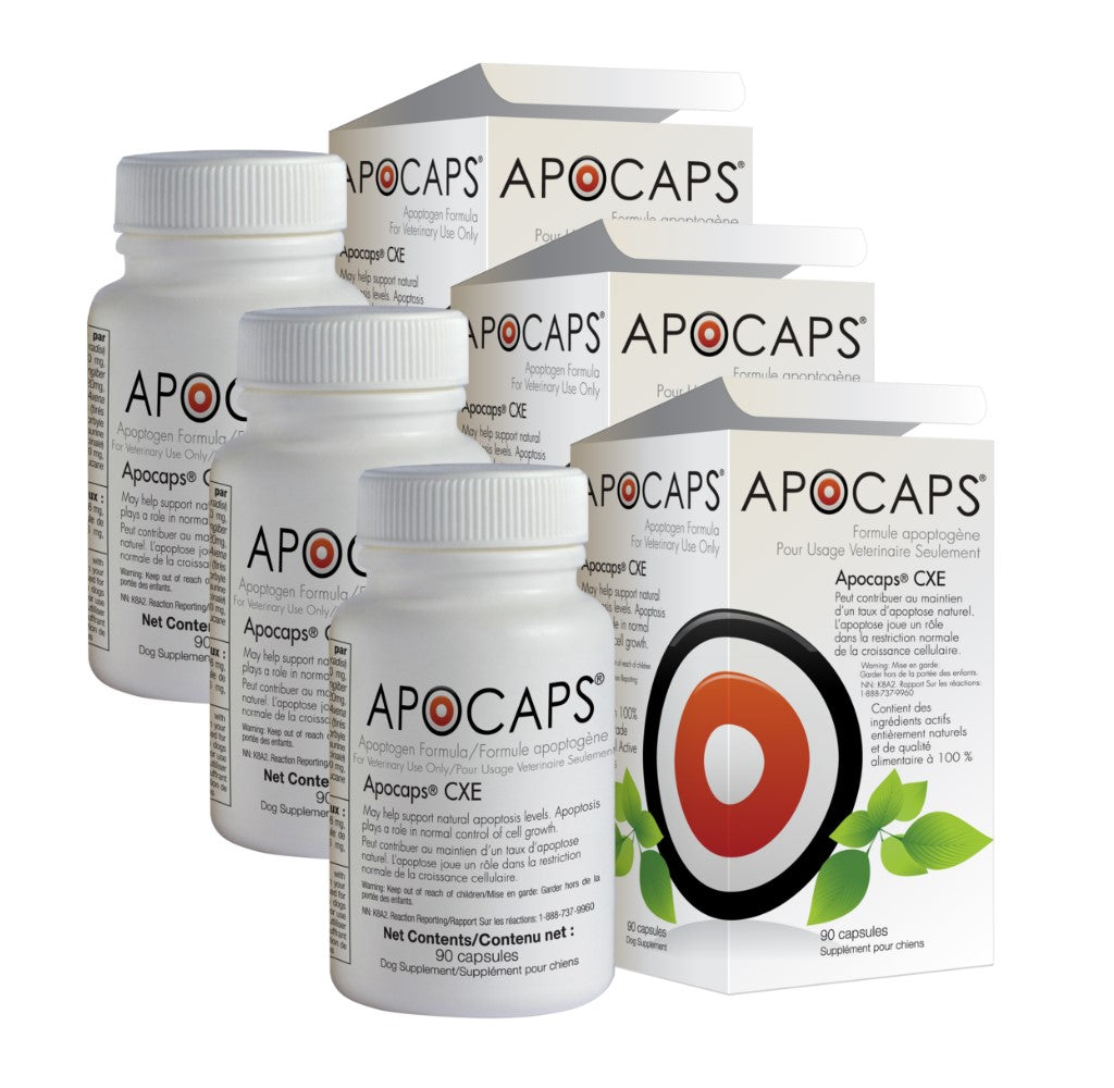Apocaps CXE International Apoptogen Formula for Dogs (90 capsules)