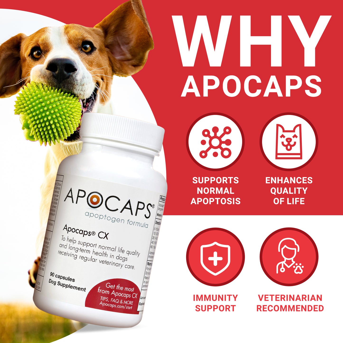 Apocaps CX Apoptogen Formula for Dogs (90 capsules)