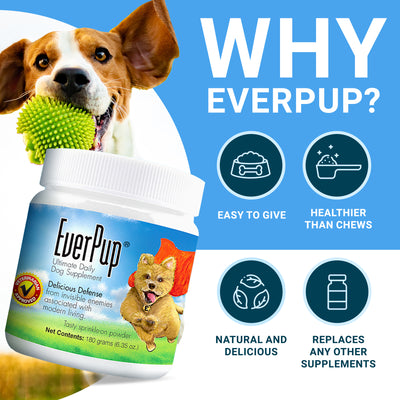EverPup Ultimate Daily Dog Supplement (180 grams)