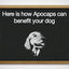 Apocaps CX Apoptogen Formula for Dogs (90 capsules)