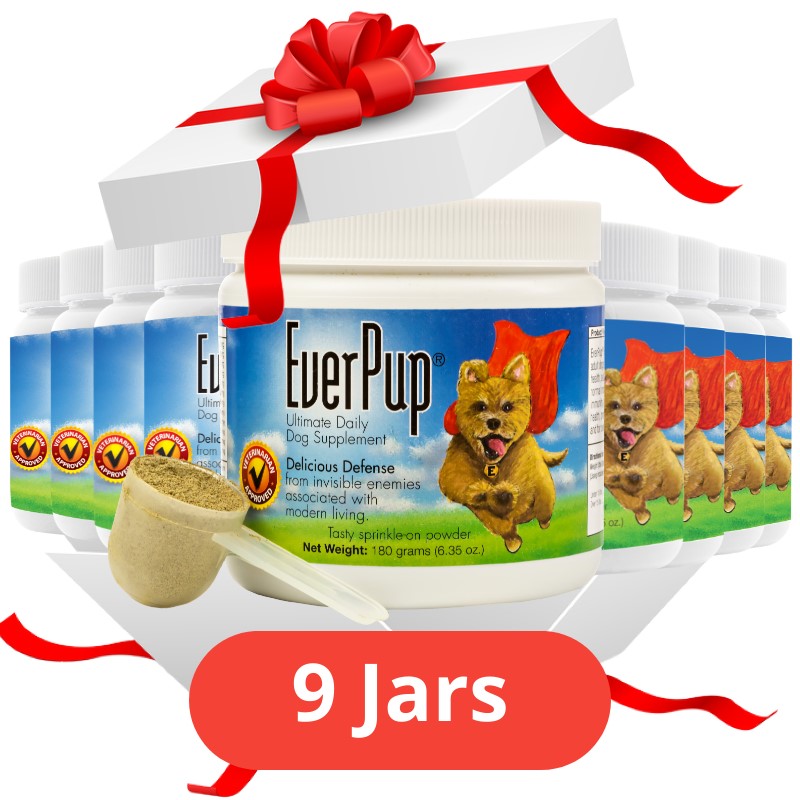 Gift Of EverPup