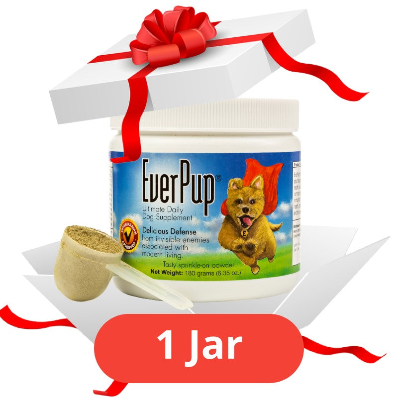 Gift Of EverPup