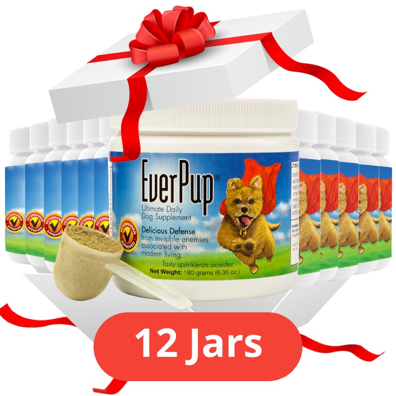 Gift Of EverPup
